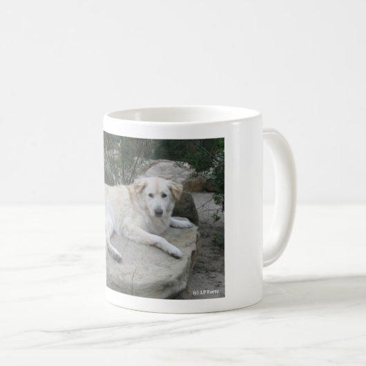 Dog Resting On A Rock Kaffeetasse (VorderseiteRechts)