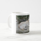 Dog Resting On A Rock Kaffeetasse (Vorderseite Links)
