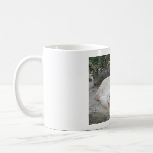 Dog Resting On A Rock Kaffeetasse (Links)