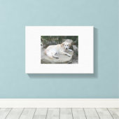 Dog Resting On A Rock Leinwanddruck (Insitu (Holzboden))