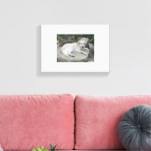 Dog Resting On A Rock Leinwanddruck (Insitu (Wohnzimmer))