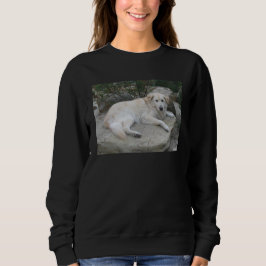 Dog Resting On A Rock Sweatshirt