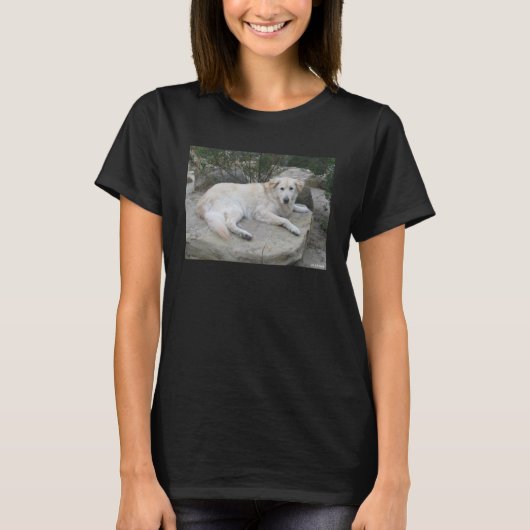 Dog Resting On A Rock T-Shirt (Vorderseite)