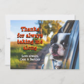 Dog Riding in Car Dank Liebe Grußkarte Karte (Vorderseite)