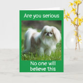 DOG SAGT *GRATULIERUNGEN ZU IHRER *WERBEAKTION* KARTE (Gelbe Blume)