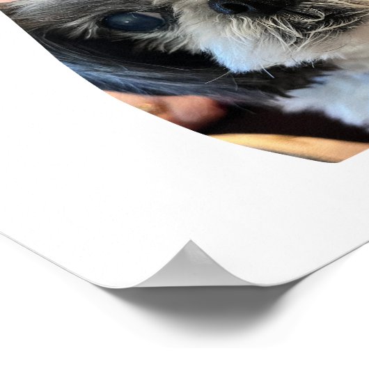 Dog Shape Foto Collage Poster (Ecke)