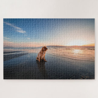 Dog sitting on the beach puzzle
