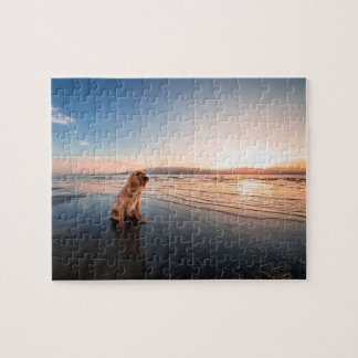 Dog sitting on the beach puzzle