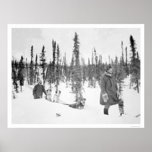 Dog Sled Men Fairbanks 1920 Poster (Vorne)
