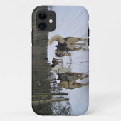 Dog Sledding in Quebec, Kanada Case-Mate iPhone Hülle (Rückseite)