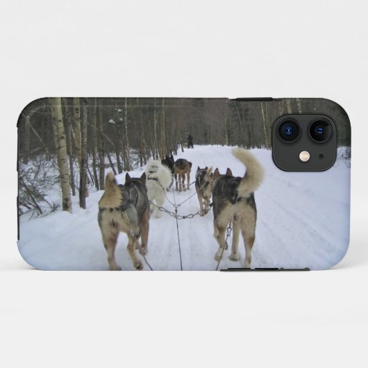 Dog Sledding in Quebec, Kanada Case-Mate iPhone Hülle (Rückseite (Horizontal))