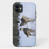 Dog Sledding in Quebec, Kanada Case-Mate iPhone Hülle (Rückseite)