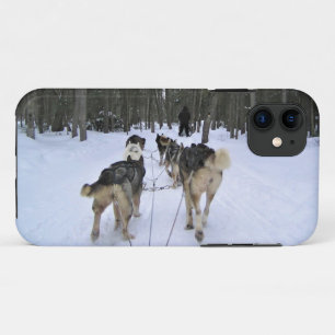 Dog Sledding in Quebec, Kanada Case-Mate iPhone Hülle