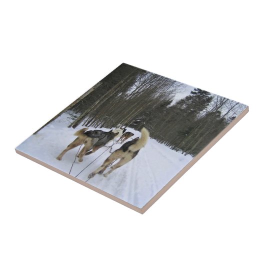 Dog Sledding in Quebec, Kanada Fliese (Seite)