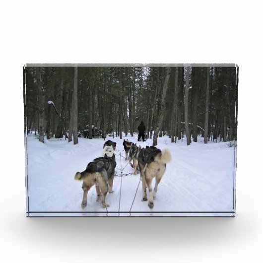 Dog Sledding in Quebec, Kanada Fotoblock (Vorderseite)