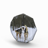 Dog Sledding in Quebec, Kanada Fotoblock (Rechts)