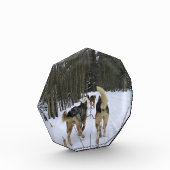 Dog Sledding in Quebec, Kanada Fotoblock (Links)