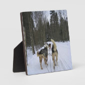 Dog Sledding in Quebec, Kanada Fotoplatte (Vorderseite)
