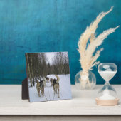 Dog Sledding in Quebec, Kanada Fotoplatte (InSitu)