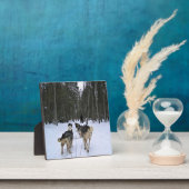 Dog Sledding in Quebec, Kanada Fotoplatte (InSitu)