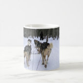 Dog Sledding in Quebec, Kanada Kaffeetasse (Mittel)