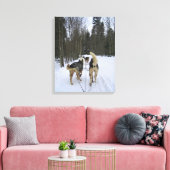 Dog Sledding in Quebec, Kanada Leinwanddruck (Insitu (Wohnzimmer))
