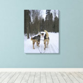 Dog Sledding in Quebec, Kanada Leinwanddruck (Insitu (Holzboden))