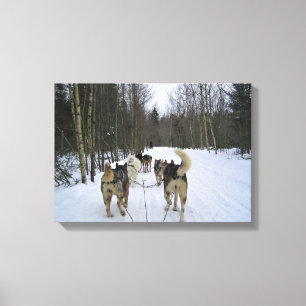 Dog Sledding in Quebec, Kanada Leinwanddruck