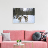 Dog Sledding in Quebec, Kanada Leinwanddruck (Insitu (Wohnzimmer))