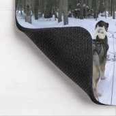 Dog Sledding in Quebec, Kanada Mousepad (Ecke)