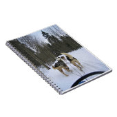 Dog Sledding in Quebec, Kanada Notizblock (Rechte Seite)