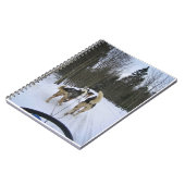 Dog Sledding in Quebec, Kanada Notizblock (Linke Seite)