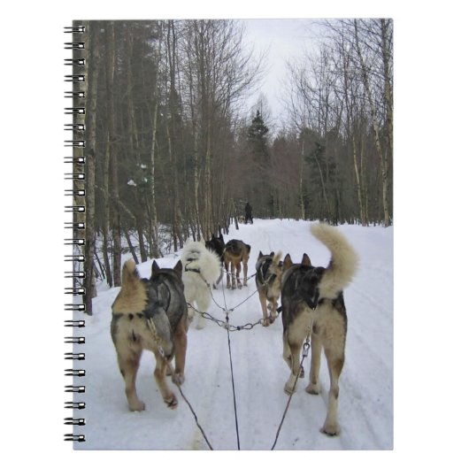 Dog Sledding in Quebec, Kanada Notizblock (Vorderseite)
