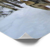 Dog Sledding in Quebec, Kanada Poster (Ecke)