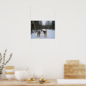 Dog Sledding in Quebec, Kanada Poster (Küche)