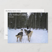 Dog Sledding in Quebec, Kanada Postkarte (Vorne/Hinten)