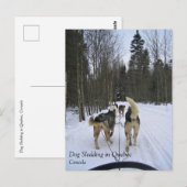Dog Sledding in Quebec, Kanada Postkarte (Vorne/Hinten)