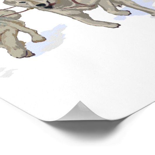 Dog Sledding Scene - Juneau, Alaska Poster (Ecke)