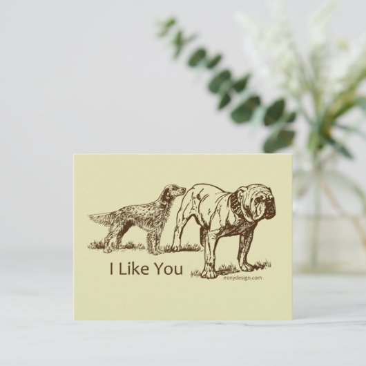 Dog Sniffs Hintern Postkarte (Stehend Vorderseite)