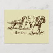 Dog Sniffs Hintern Postkarte (Vorderseite)