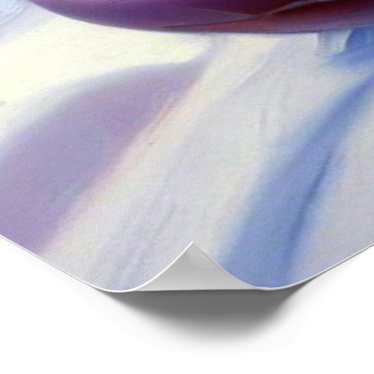 Dog Snow Tubing Poster (Ecke)