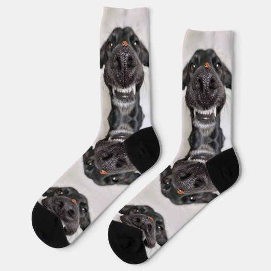 Dog Socks Socken (Linkes Detail)