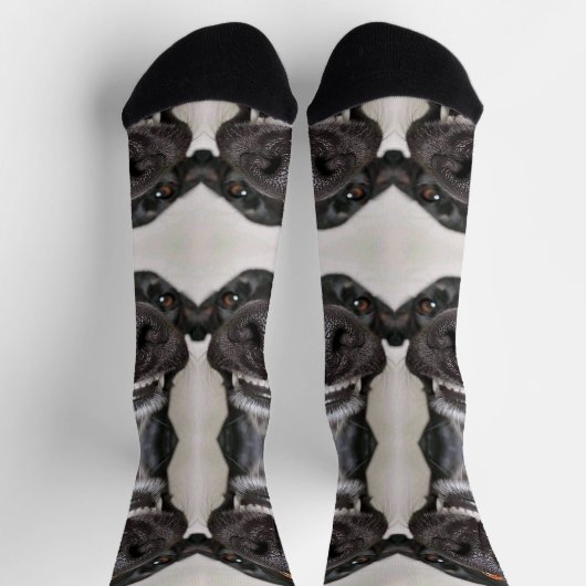 Dog Socks Socken (Oben)