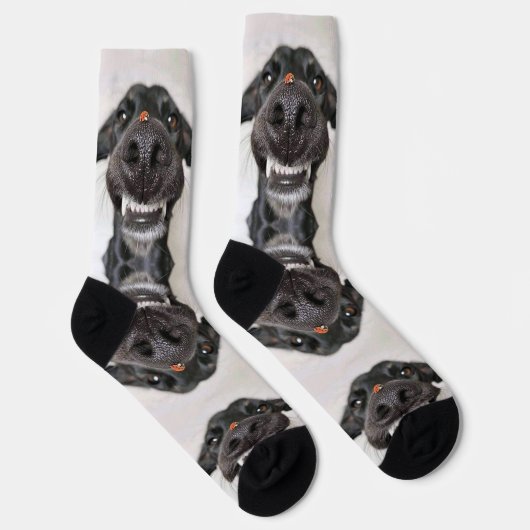 Dog Socks Socken (Rechts)