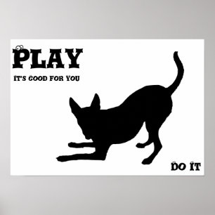 Dog spielen poster