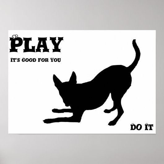 Dog spielen poster (Vorne)