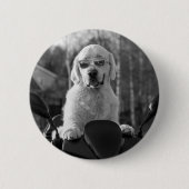 DOG STYLE BUTTON (Vorderseite)