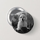 DOG STYLE BUTTON (Vorne & Hinten)