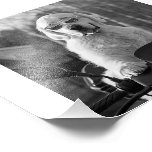 DOG STYLE FOTODRUCK (Ecke)