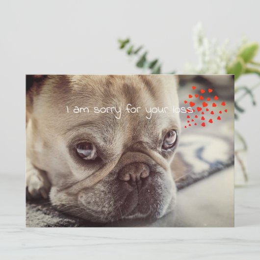 Dog Sympathy Card (Stehend Vorderseite)